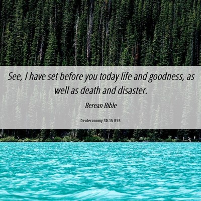 Picture 06 - Deuteronomy 30:15 BSB - See, I have set before you today life and - Bible Verse Picture