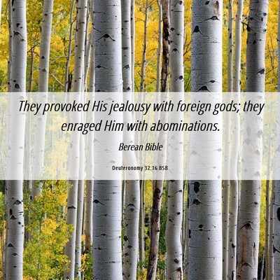 Picture 06 - Deuteronomy 32:16 BSB - They provoked His jealousy with foreign gods; - Bible Verse Picture