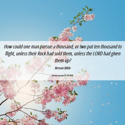 Picture 06 - Deuteronomy 32:30 BSB - How could one man pursue a thousand, or two put - Bible Verse Picture