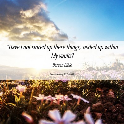 Picture 06 - Deuteronomy 32:34 BSB - “Have I not stored up these things, sealed up - Bible Verse Picture