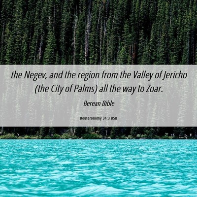 Picture 06 - Deuteronomy 34:3 BSB - the Negev, and the region from the Valley of - Bible Verse Picture