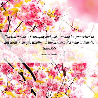 Picture 06 - Deuteronomy 4:16 BSB - that you do not act corruptly and make an idol - Bible Verse Picture