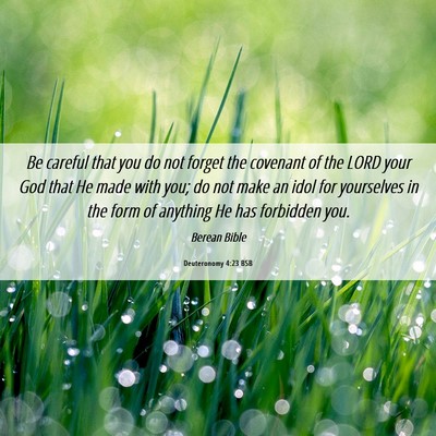 Picture 06 - Deuteronomy 4:23 BSB - Be careful that you do not forget the covenant of - Bible Verse Picture