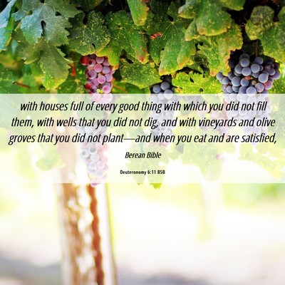 Picture 06 - Deuteronomy 6:11 BSB - with houses full of every good thing with which - Bible Verse Picture