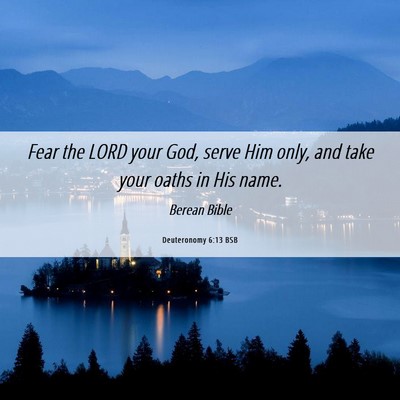Picture 06 - Deuteronomy 6:13 BSB - Fear the LORD your God, serve Him only, and take - Bible Verse Picture