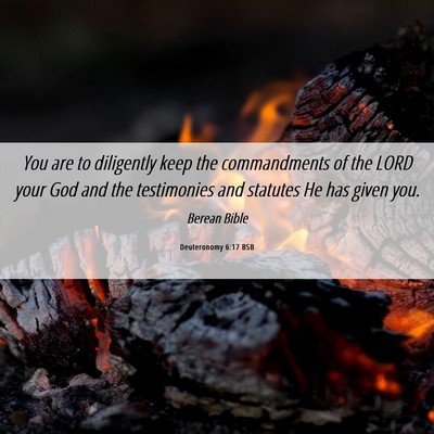 Picture 06 - Deuteronomy 6:17 BSB - You are to diligently keep the commandments of - Bible Verse Picture
