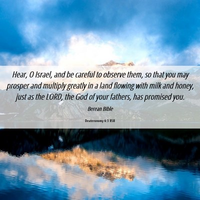 Picture 06 - Deuteronomy 6:3 BSB - Hear, O Israel, and be careful to observe them, - Bible Verse Picture