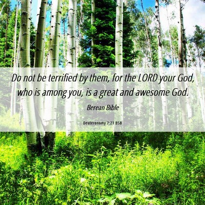 Picture 06 - Deuteronomy 7:21 BSB - Do not be terrified by them, for the LORD your - Bible Verse Picture