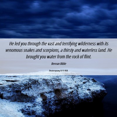 Picture 06 - Deuteronomy 8:15 BSB - He led you through the vast and terrifying - Bible Verse Picture