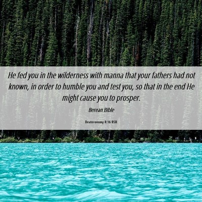 Picture 06 - Deuteronomy 8:16 BSB - He fed you in the wilderness with manna that your - Bible Verse Picture