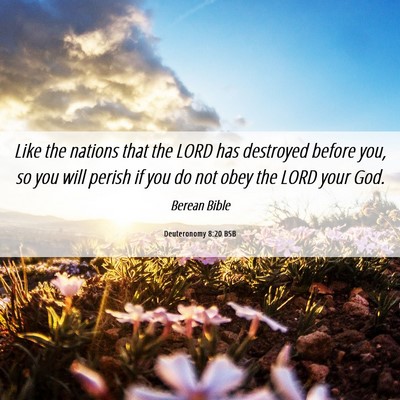 Picture 06 - Deuteronomy 8:20 BSB - Like the nations that the LORD has destroyed - Bible Verse Picture