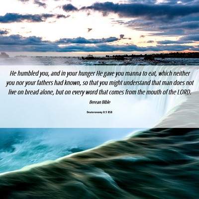 Picture 06 - Deuteronomy 8:3 BSB - He humbled you, and in your hunger He gave you - Bible Verse Picture
