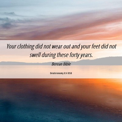 Picture 06 - Deuteronomy 8:4 BSB - Your clothing did not wear out and your feet did - Bible Verse Picture
