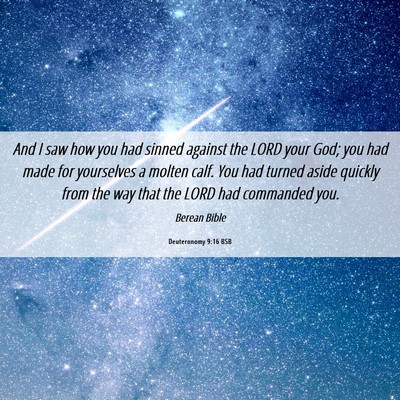Picture 06 - Deuteronomy 9:16 BSB - And I saw how you had sinned against the LORD - Bible Verse Picture