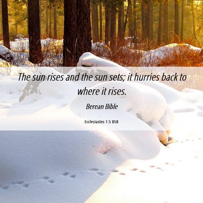 Picture 06 - Ecclesiastes 1:5 BSB - The sun rises and the sun sets; it hurries back - Bible Verse Picture