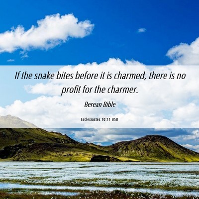 Picture 06 - Ecclesiastes 10:11 BSB - If the snake bites before it is charmed, there is - Bible Verse Picture
