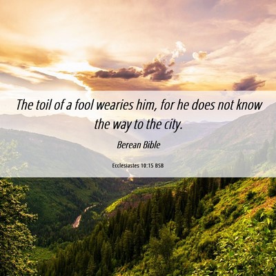 Picture 06 - Ecclesiastes 10:15 BSB - The toil of a fool wearies him, for he does not - Bible Verse Picture