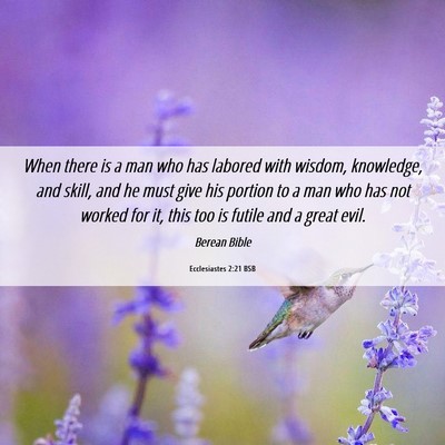 Picture 06 - Ecclesiastes 2:21 BSB - When there is a man who has labored with wisdom, - Bible Verse Picture