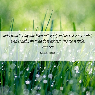 Picture 06 - Ecclesiastes 2:23 BSB - Indeed, all his days are filled with grief, and - Bible Verse Picture