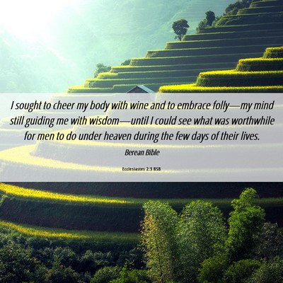 Picture 06 - Ecclesiastes 2:3 BSB - I sought to cheer my body with wine and to - Bible Verse Picture