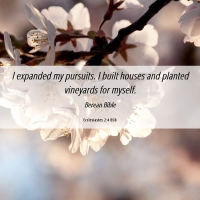 Picture 06 - Ecclesiastes 2:4 BSB - I expanded my pursuits. I built houses and - Bible Verse Picture