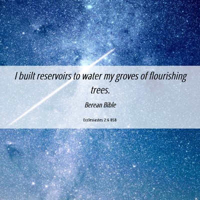 Picture 06 - Ecclesiastes 2:6 BSB - I built reservoirs to water my groves of - Bible Verse Picture