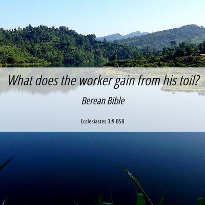 Picture 06 - Ecclesiastes 3:9 BSB - What does the worker gain from his - Bible Verse Picture