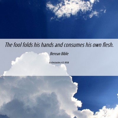 Picture 06 - Ecclesiastes 4:5 BSB - The fool folds his hands and consumes his own - Bible Verse Picture