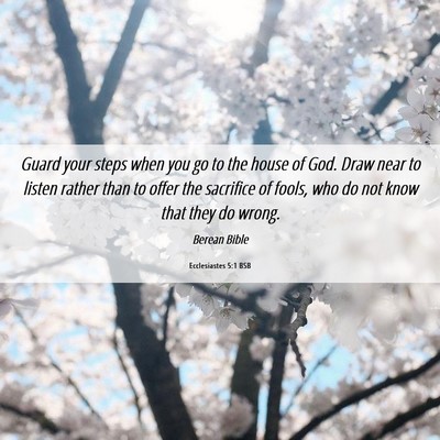Picture 06 - Ecclesiastes 5:1 BSB - Guard your steps when you go to the house of God. - Bible Verse Picture