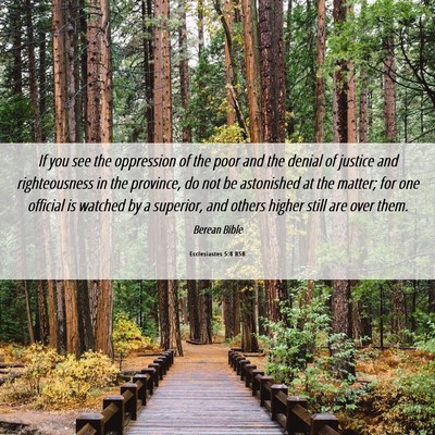 Picture 06 - Ecclesiastes 5:8 BSB - If you see the oppression of the poor and the - Bible Verse Picture