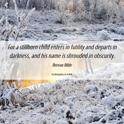 Picture 06 - Ecclesiastes 6:4 BSB - For a stillborn child enters in futility and - Bible Verse Picture