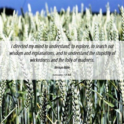 Picture 06 - Ecclesiastes 7:25 BSB - I directed my mind to understand, to explore, to - Bible Verse Picture