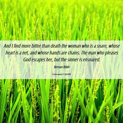 Picture 06 - Ecclesiastes 7:26 BSB - And I find more bitter than death the woman who - Bible Verse Picture