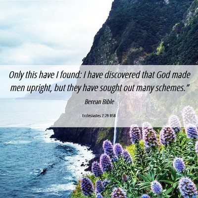 Picture 06 - Ecclesiastes 7:29 BSB - Only this have I found: I have discovered that - Bible Verse Picture