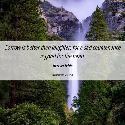 Picture 06 - Ecclesiastes 7:3 BSB - Sorrow is better than laughter, for a sad - Bible Verse Picture