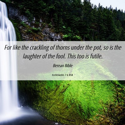 Picture 06 - Ecclesiastes 7:6 BSB - For like the crackling of thorns under the pot, - Bible Verse Picture