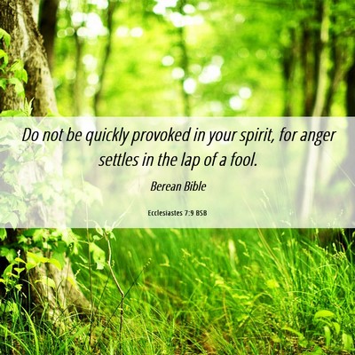 Picture 06 - Ecclesiastes 7:9 BSB - Do not be quickly provoked in your spirit, for - Bible Verse Picture