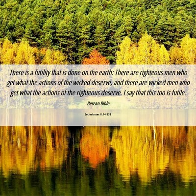 Picture 06 - Ecclesiastes 8:14 BSB - There is a futility that is done on the earth: - Bible Verse Picture