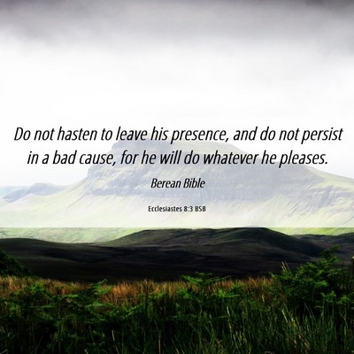 Picture 06 - Ecclesiastes 8:3 BSB - Do not hasten to leave his presence, and do not - Bible Verse Picture