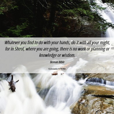 Picture 06 - Ecclesiastes 9:10 BSB - Whatever you find to do with your hands, do it - Bible Verse Picture