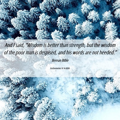 Picture 06 - Ecclesiastes 9:16 BSB - And I said, “Wisdom is better than strength, - Bible Verse Picture