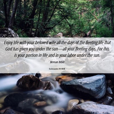 Picture 06 - Ecclesiastes 9:9 BSB - Enjoy life with your beloved wife all the days of - Bible Verse Picture