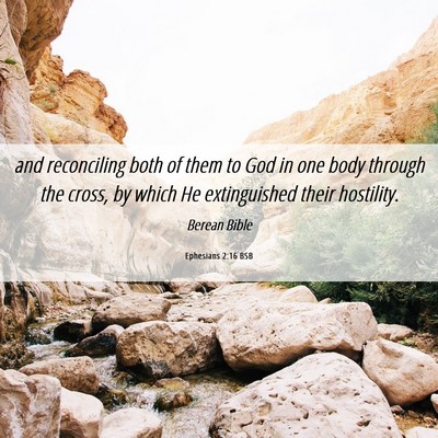 Picture 06 - Ephesians 2:16 BSB - and reconciling both of them to God in one body - Bible Verse Picture