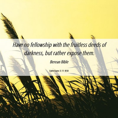 Picture 06 - Ephesians 5:11 BSB - Have no fellowship with the fruitless deeds of - Bible Verse Picture