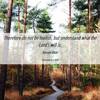 Picture 06 - Ephesians 5:17 BSB - Therefore do not be foolish, but understand what - Bible Verse Picture