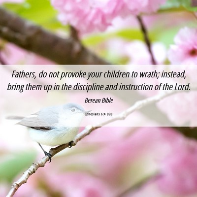Picture 06 - Ephesians 6:4 BSB - Fathers, do not provoke your children to wrath; - Bible Verse Picture