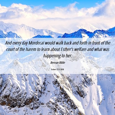 Picture 06 - Esther 2:11 BSB - And every day Mordecai would walk back and forth - Bible Verse Picture