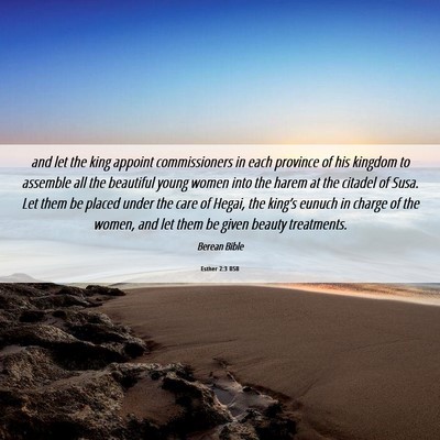Picture 06 - Esther 2:3 BSB - and let the king appoint commissioners in each - Bible Verse Picture