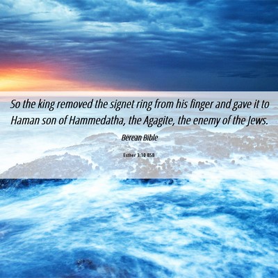 Picture 06 - Esther 3:10 BSB - So the king removed the signet ring from his - Bible Verse Picture