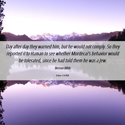 Picture 06 - Esther 3:4 BSB - Day after day they warned him, but he would not - Bible Verse Picture